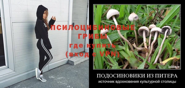 прущая мука Володарск